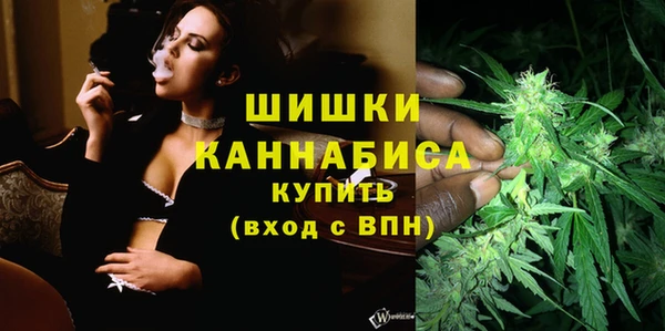 2c-b Гусиноозёрск